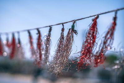 Low angle view of drying against sky