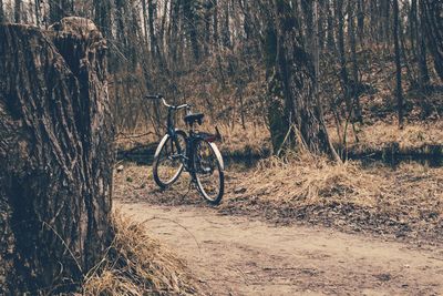 Bicycle parked on footpath in forest