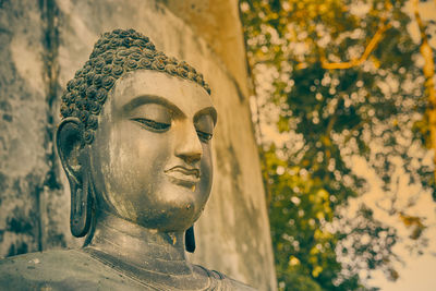 Close-up of statue against blurred background