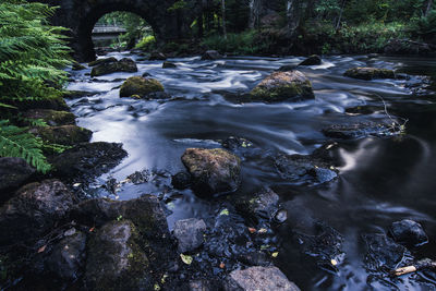 Stream flowing through rocks in forest