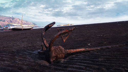 Close-up of driftwood on beach against sky