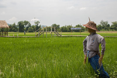 Scarecrow on agricultural field