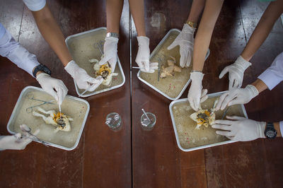 Cropped hands of students dissecting frogs on table in laboratory