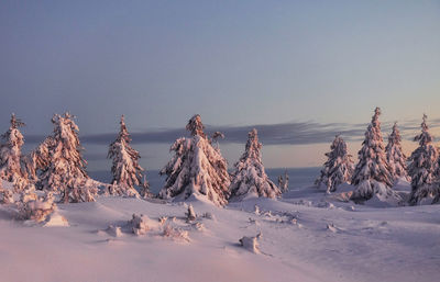 Snow covers lot