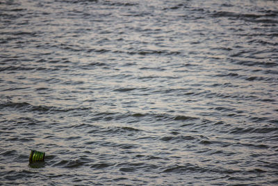 Full frame shot of rippled water