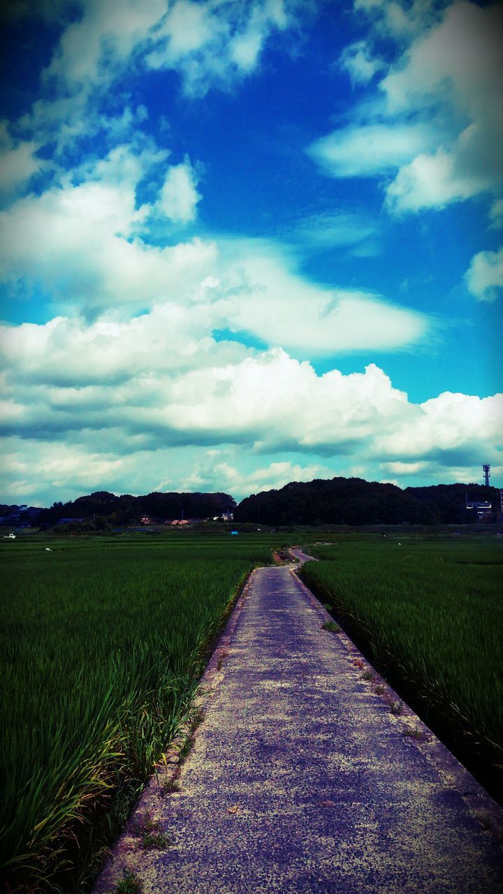 the way forward, sky, grass, landscape, field, cloud - sky, diminishing perspective, tranquility, tranquil scene, cloud, vanishing point, rural scene, cloudy, road, nature, scenics, beauty in nature, green color, agriculture, blue