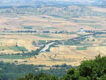 High angle view of agricultural field