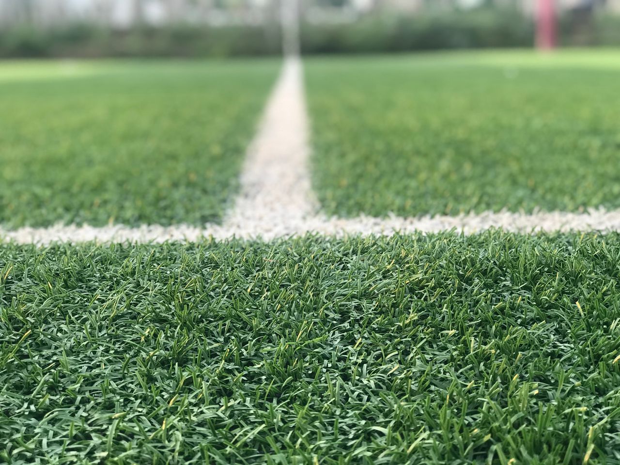 grass, plant, sport, green color, day, playing field, nature, no people, soccer, outdoors, growth, selective focus, land, focus on foreground, field, soccer field, team sport, single line, white color, close-up, surface level, turf, dividing line