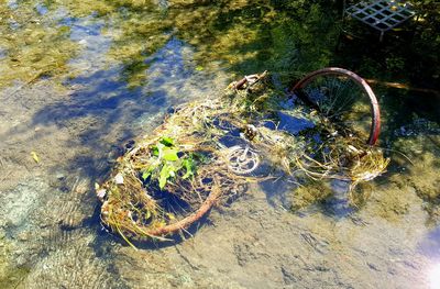 High angle view of water