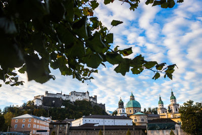 Panoramic view of buildings and trees against sky