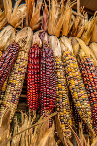 Close-up of multi colored vegetables for sale at market stall