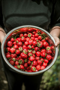 Midsection of woman holding strawberries