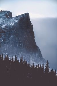 Scenic view of tree mountains against sky