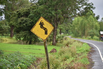 Close-up of road sign on field