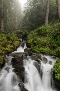 River flowing through rocks