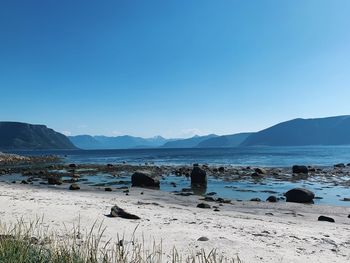 Sandy beach on the shore of a limitless fjord on a sunny day, natural light, peaceful environment 