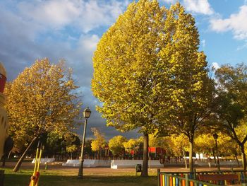 Autumn trees by road against sky