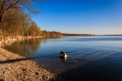 Scenic view of lake against clear sky