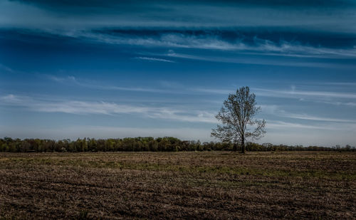 Scenic view of field against cloudy sky