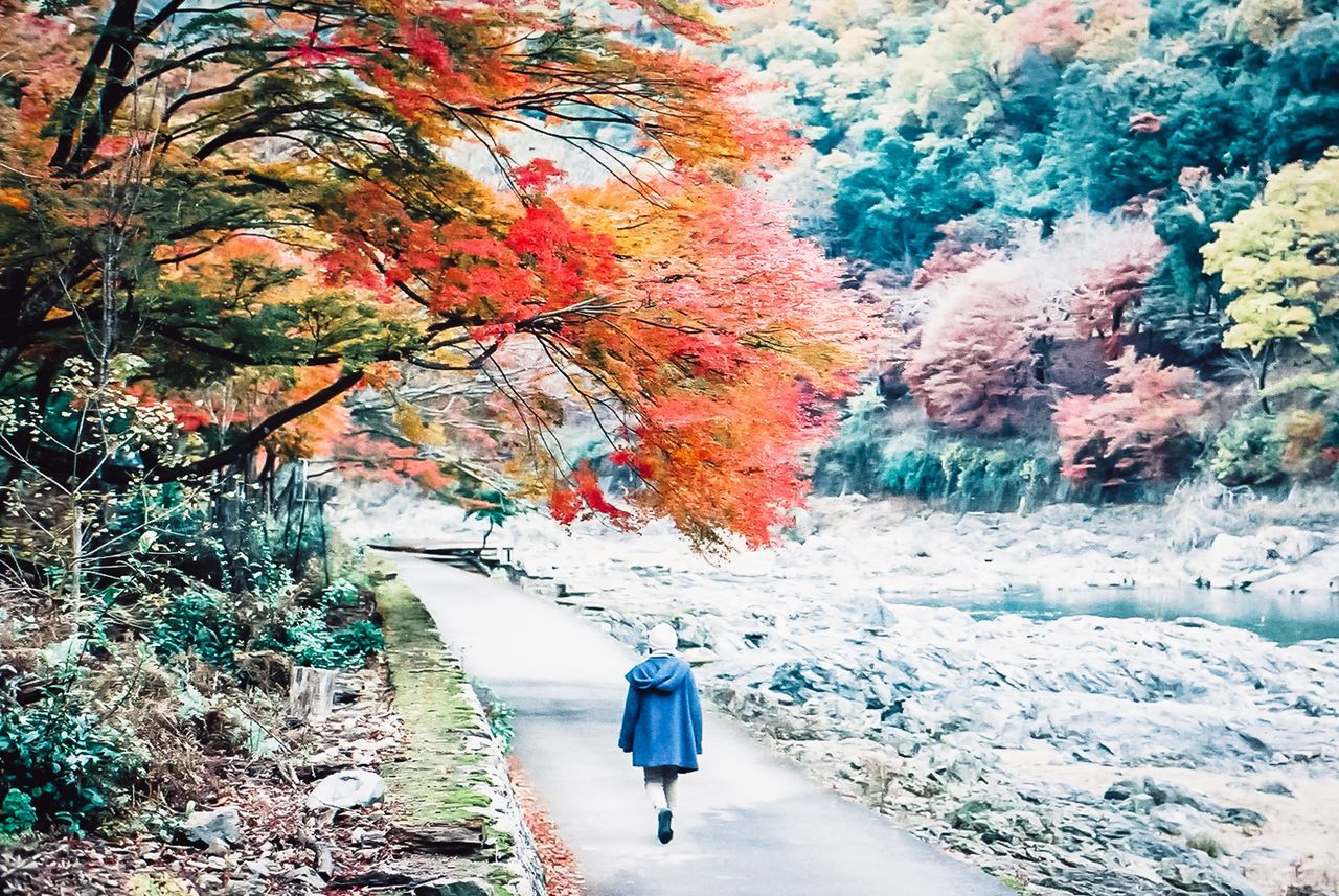 REAR VIEW OF PERSON WALKING ON SNOW COVERED TREE