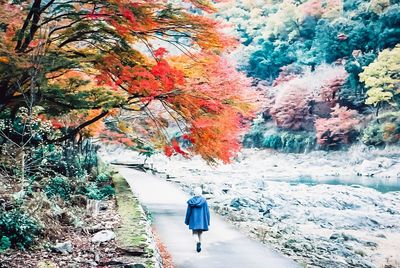 Rear view of person walking on snow covered trees during autumn