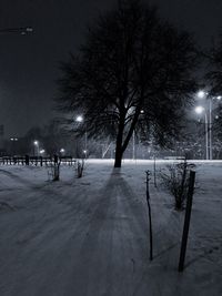 Illuminated street light at night