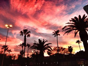 Silhouette of palm trees against cloudy sky