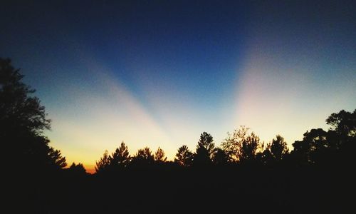 Silhouette of trees against sky at sunset