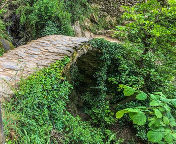 High angle view of waterfall in forest