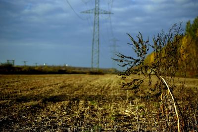 Scenic view of field against cloudy sky