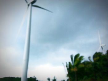 Low angle view of tree against sky