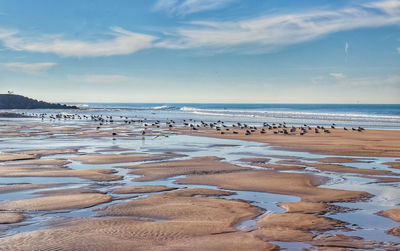 Scenic view of beach against sky