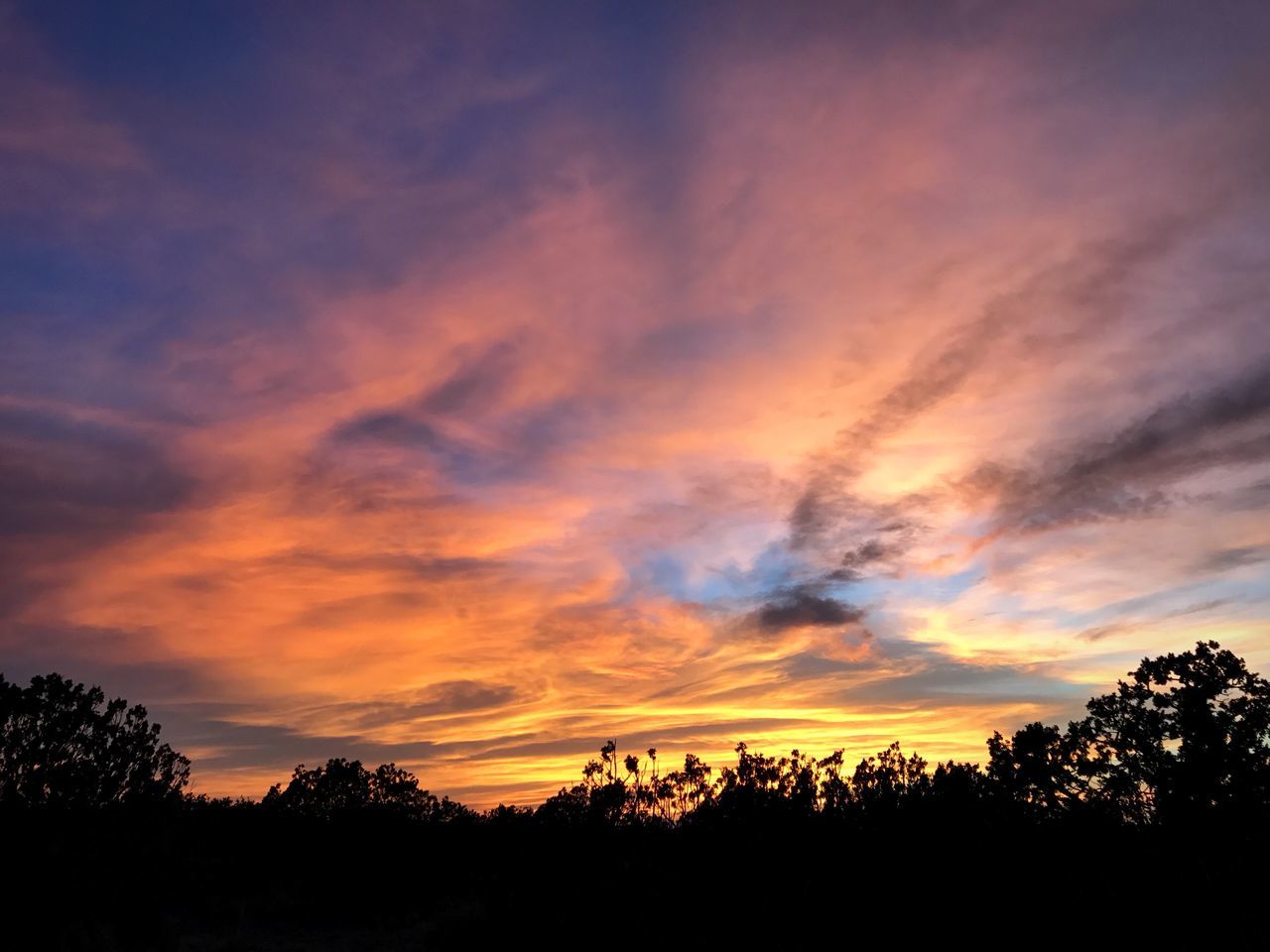 Torrance County, New Mexico