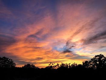 Silhouette trees against dramatic sky during sunset