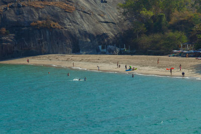 View of birds swimming in sea