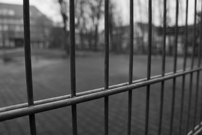 Close-up of fence against trees