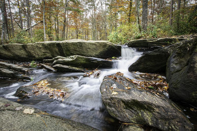 Scenic view of waterfall in forest