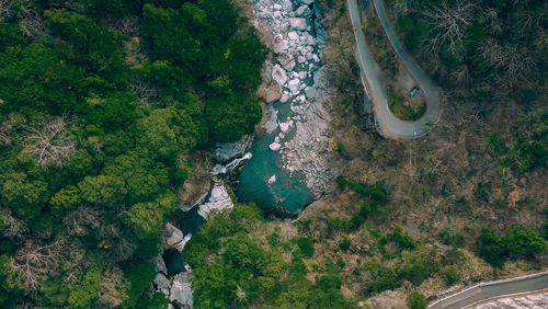 High angle view of road amidst trees in forest