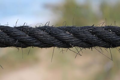 Close-up of rope