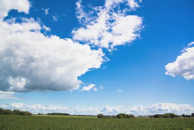 Scenic view of field against cloudy sky