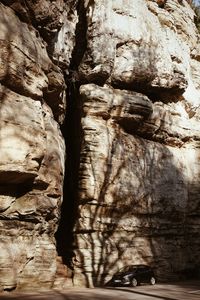 Full frame shot of tree