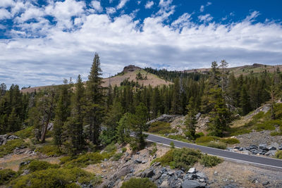 High angle view of road amidst trees against sky