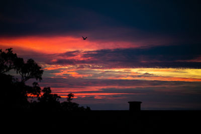 Silhouette of birds flying against orange sky