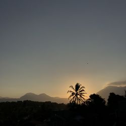 Silhouette palm trees against sky during sunset