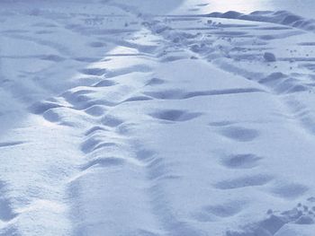 High angle view of snow covered land