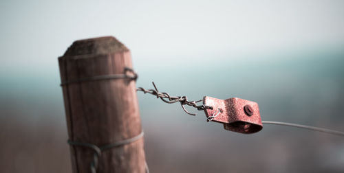 Close-up of rusty metal fence with wooden post