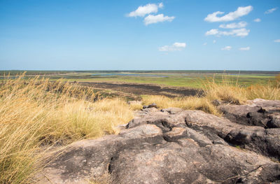 Scenic view of landscape against sky