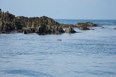 Scenic view of sea against clear blue sky