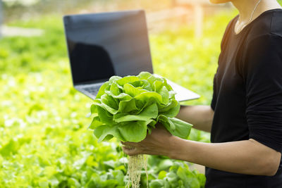 Midsection of person holding leaf