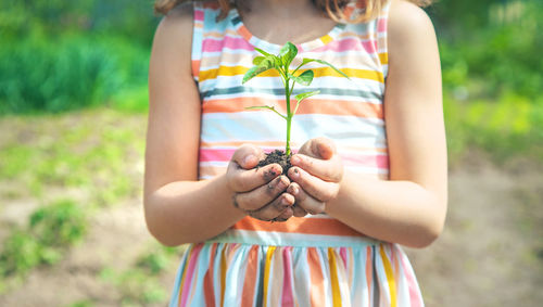 Midsection girl holding sapling